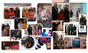 Copyright Madona Cole Lacy